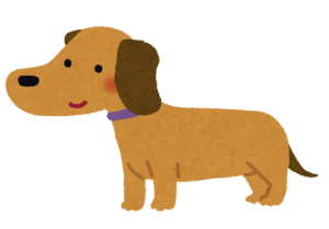 dog_miniature_dachshund